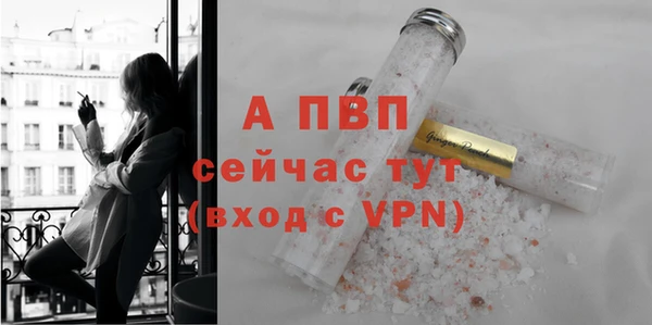 шишки Белокуриха