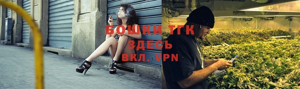 прущие грибы Балахна