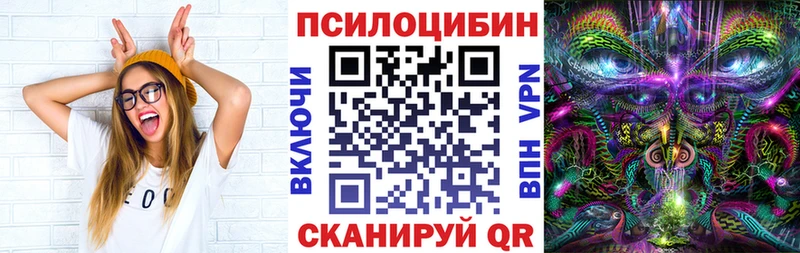 Псилоцибиновые грибы Psilocybe  купить наркоту  Мантурово 